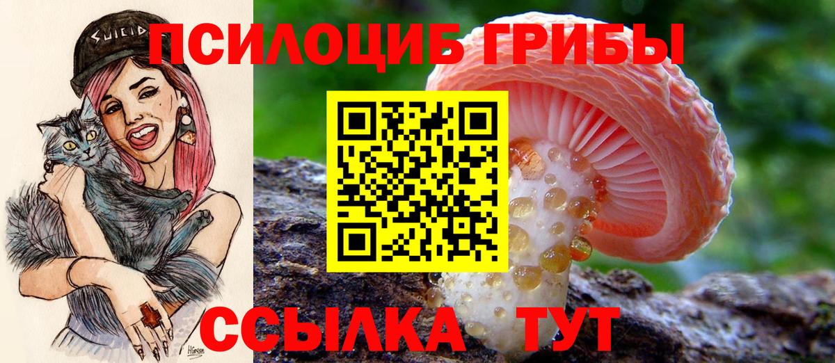 Прокопьевск  Галлюциногенные грибы MAGIC MUSHROOMS  Галлюциногенные грибы Cubensis  Вход с VPN 