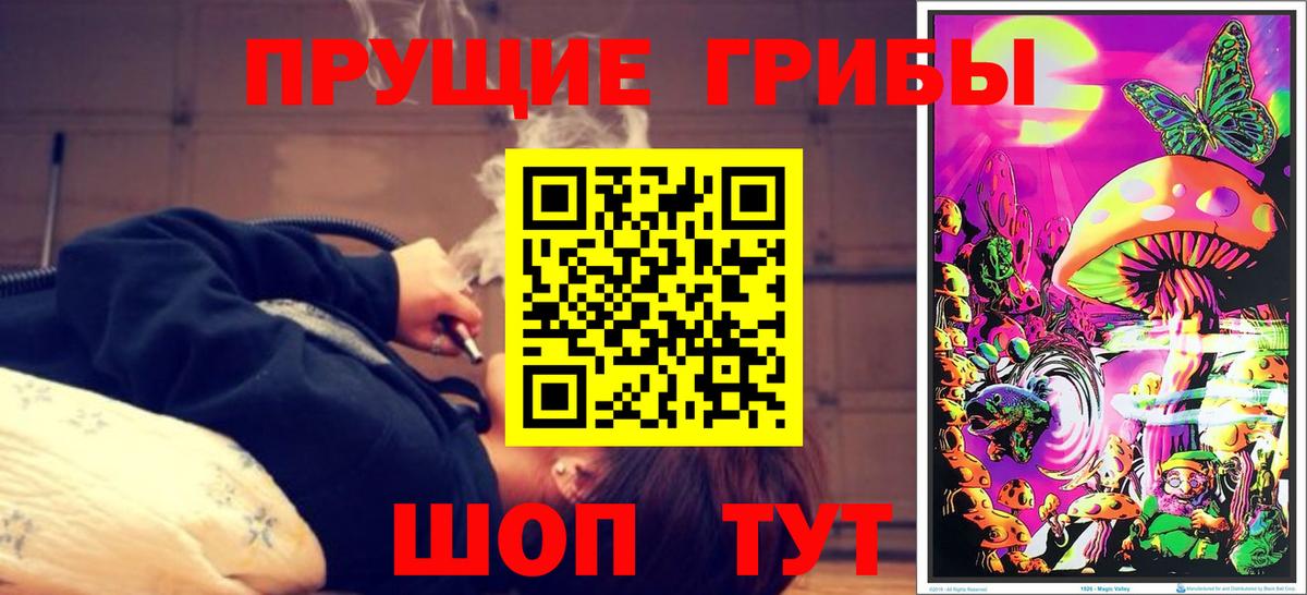 Псилоцибиновые грибы Psilocybe Прокопьевск